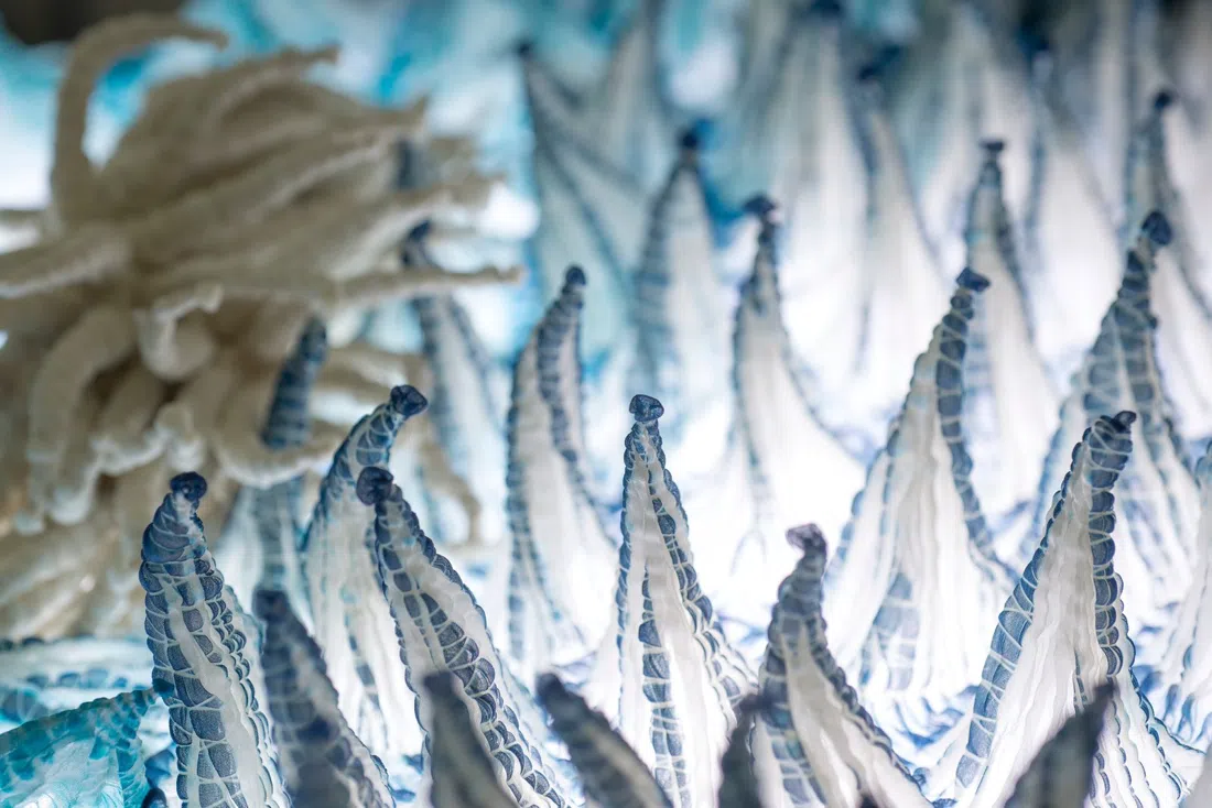Kyoto Shibori Museum, Kyoto