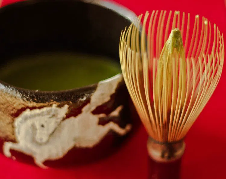 Camellia Tea Ceremony (Flower), Kyoto